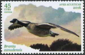 Colnect-3661-828-Canada-Goose-Branta-canadensis.jpg