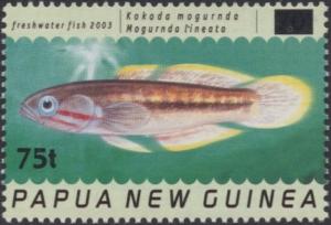 Colnect-5100-725-Kokoda-Mogurnda---Goby-Mogurnda-lineata---surcharged.jpg