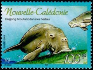 Colnect-858-312-Dugong-Dugong-dugon.jpg