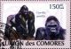 Colnect-4906-415-Gorilla-gorilla.jpg