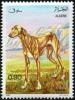 Colnect-2074-232-Sloughi-Arabian-Greyhound-Canis-lupus-familiaris.jpg