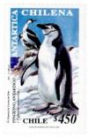 Colnect-530-544-Chinstrap-Penguin-Pygoscelis-antarcticus.jpg