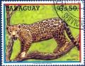 Colnect-2321-511-Jaguar-Panthera-onca.jpg