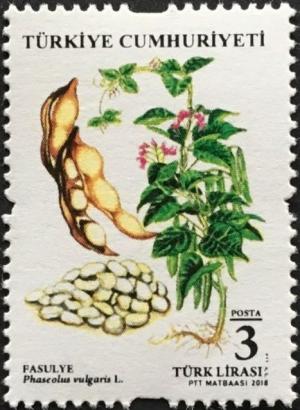 Colnect-5343-205-Legumes--White-Beans.jpg