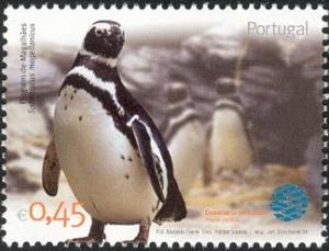 Colnect-568-117-Magellanic-Penguin-Spheniscus-magellanicus.jpg