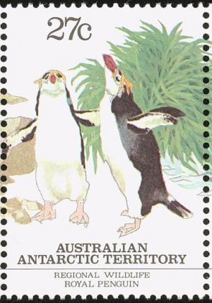 Colnect-813-062-Royal-Penguin-Eudyptes-schlegeli.jpg