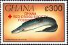 Colnect-5995-180-African-Knifefish-Gymnarchos-niloticus---overprinted.jpg