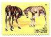 Stamp_of_Kyrgyzstan_093.jpg