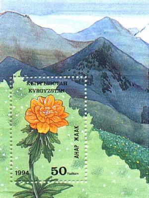 Stamp_of_Kyrgyzstan_036.jpg