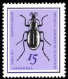 Colnect-1975-501-Snail-eating-Beetle-Cychrus-caraboides.jpg