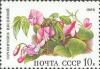 Colnect-581-801-Spring-pea-Orobus-vernus.jpg