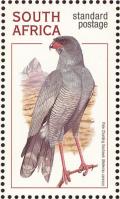 Colnect-1759-611-Pale-Chanting-Goshawk-Melierrax-canorus.jpg