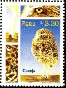 Colnect-1672-939-Burrowing-Owl-Athene-cunicularia.jpg