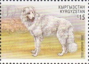 Colnect-2749-675-Akbash-Dog-Canis-lupus-familiaris.jpg