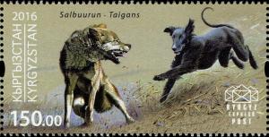 Colnect-3495-037-Taigan-Dog-Taigan-Dog-Canis-lupus-familiaris-Wolf-Canis-.jpg