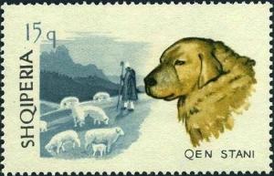 Colnect-5862-206-Sheep-Dog-Canis-lupus-familiaris.jpg