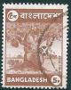 STS-Bangladesh-1-300dpi.jpg-crop-306x390at1415-2344.jpg