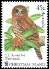 Colnect-3887-315-Christmas-Island-Hawk-owl-Ninox-squamipila-natalis.jpg