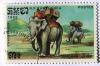 Colnect-526-995-Asian-Elephant-Elephas-maximus-with-Kornak-and-Howdah.jpg