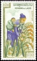 Colnect-241-423-Harvesting-Rice.jpg