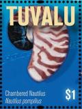 Colnect-6297-687-Chambered-Nautilus.jpg