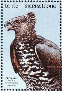 Colnect-3663-457-Stephanoaetus-coronatus.jpg
