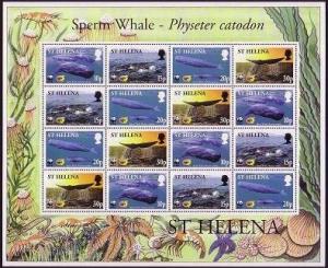 Colnect-1661-851-Sperm-Whale---Physeter-catodon.jpg