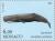 Colnect-149-602-Sperm-Whale-Physeter-catodon.jpg