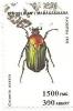 Colnect-953-351-Rose-Chafer-Cetonia-aurata.jpg