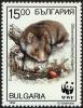 Colnect-5093-629-European-Hamster-Cricetus-cricetus.jpg