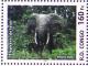 Colnect-552-860-African-Forest-Elephant-Loxodonta-africana-cyclotis-.jpg