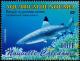 Colnect-858-365-Blacktip-Reef-Shark-Carcharhinus-melanopterus.jpg