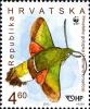 Colnect-6335-371-Olive-Bee-Hawk-Moth-Hemaris-croatica.jpg