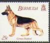 Colnect-1338-907-German-Shepherd-Canis-lupus-familiaris.jpg