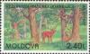 Colnect-191-764-Nature-Reserve--quot-Herrschers-Forest-quot--Red-Deer-Cervus-elaphus.jpg