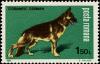 Colnect-4266-433-German-Shepherd-Canis-lupus-familiaris.jpg
