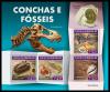 Colnect-6003-224-Shells-and-Fossils.jpg