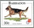 Colnect-5604-212-German-Shepherd-Canis-lupus-familiaris.jpg