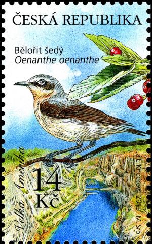 Colnect-3780-139-Northern-Wheatear-Oenanthe-oenanthe.jpg