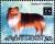 Colnect-4112-709-Shetland-sheepdog.jpg