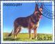 Colnect-2321-499-German-Shepherd-Canis-lupus-familiaris.jpg