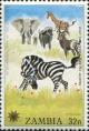Colnect-5604-574--Why-the-Zebra-has-no-Horns-.jpg