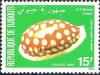 Colnect-1084-022-Sieve-Tan-and-White-Cowry-Cribraria-cribraria.jpg
