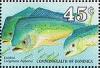 Colnect-2281-509-Common-Dolphinfish-Coryphaena-hippurus.jpg