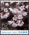 Colnect-5461-988-Edo-higan-Cherry-Blossom.jpg