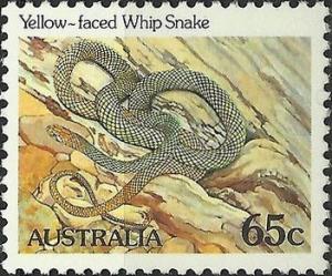 Colnect-1993-381-Yellow-faced-Whip-Snake-Demansia-reticulata.jpg