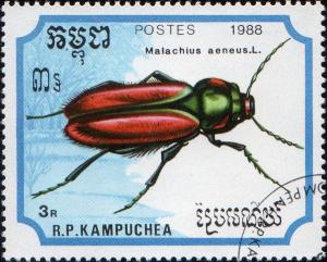 Colnect-3129-615-Scarlet-Malachite-Beetle-Malachius-aeneus.jpg