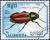 Colnect-3129-615-Scarlet-Malachite-Beetle-Malachius-aeneus.jpg