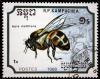 Colnect-1248-917-Western-Honeybee-Apis-mellifera.jpg