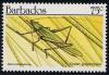 Colnect-1497-073-Green-Grashopper-Neoconocephalus-sp.jpg